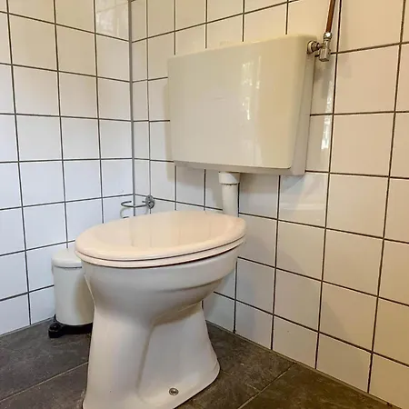 Vuur * Zwaluwe